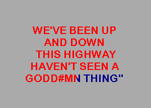 WE'VE BEEN UP
AND DOWN
THIS HIGHWAY
HAVEN'T SEEN A
GODDfiMN THING