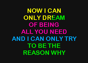 NOW I CAN
ONLY DREAM

AND I CAN ONLY TRY
TO BE THE
REASON WHY