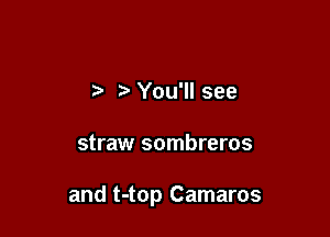 t You'll see

straw sombreros

and t-top Camaros