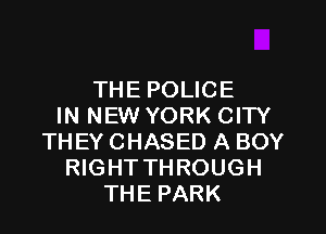 THEPOUCE
IN NEW YORK CITY

THEY CHASED A BOY
RIGHT THROUGH
THE PARK
