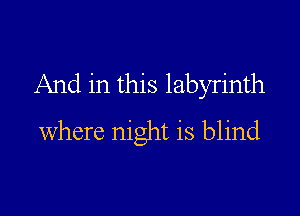 And in this labyrinth

where night is blind
