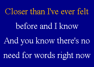 Closer than I've ever felt

before and I know
And you know there's no

need for words right now