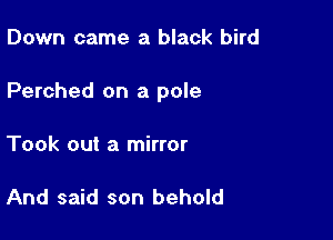 Down came a black bird

Perched on a pole

Took out a mirror

And said son behold