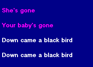 Down came a black bird

Down came a black bird