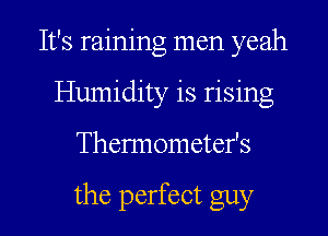 It's raining men yeah
Humidity is rising

Thermometefs

the perfect guy