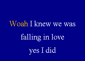 Woah I knew we was

falling in love

yes I did