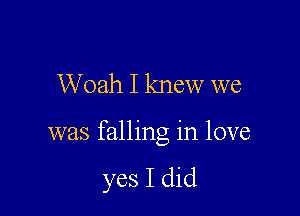 Woah I knew we

was falling in love

yes I did