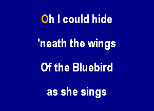 Oh I could hide

'neath the wings

0f the Bluebird

as she sings
