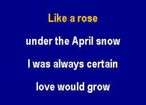 Like a rose
under the April snow

I was always certain

love would grow