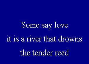 Some say love

it is a river that drowns

the tender reed