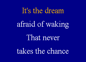 It's the dream

afraid of waking

That never

takes the chance