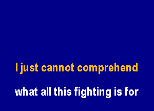 ljust cannot comprehend

what all this fighting is for