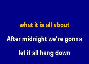 what it is all about

After midnight we're gonna

let it all hang down