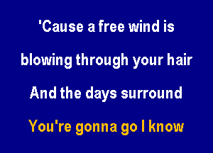'Cause a free wind is
blowing through your hair

And the days surround

You're gonna go I know