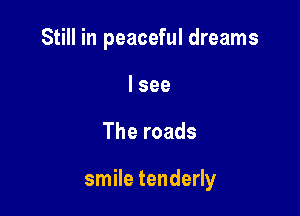 Still in peaceful dreams
I see

The roads

smile tenderly