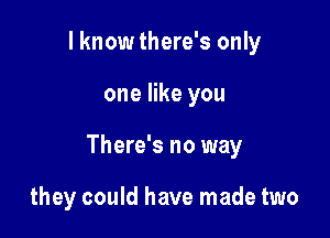 I know there's only

one like you

There's no way

they could have made two