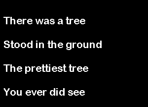 Th ere was a tree

Stood in the ground

The pretti est tree

You ever did see