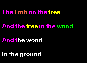 Thelimb on the tree
And the treein the wood

And the wood

in the ground