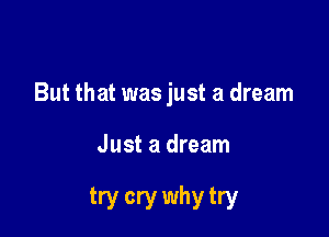 But that was just a dream

Just a dream

try cry why try