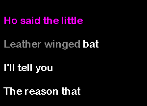 Ho said thelittle

Leather winged bat

I'll tell you

The reason that