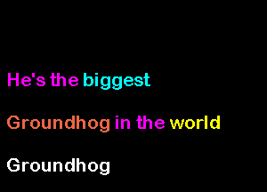 He's the biggest

Groundhog in the world

Groundhog