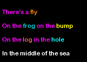 There's a fly

On the frog on the bump

On the log in the hole

In the middle of the sea