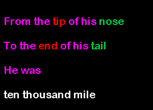 From the tip of his nose

To the end of his tail
He was

ten thousand mile