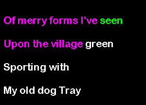 Of merry forms I've seen

Upon the village green

Sporting with

My old dog Tray