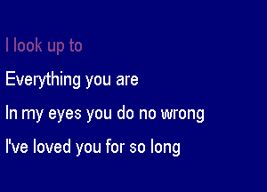 Everything you are

In my eyes you do no wrong

I've loved you for so long