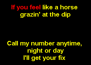 If you feel like a horse
grazin' at the dip

Call my number anytime,
night or day
I'll get your fix