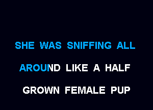 SHE WAS SNIFFING ALL

AROUND LIKE A HALF

GROWN FEMALE PUP