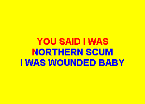YOU SAID I WAS
NORTHERN SCUM
I WAS WOUNDED BABY