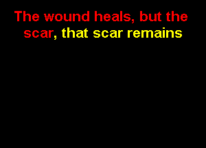 The wound heals, but the
scar, that scar remains