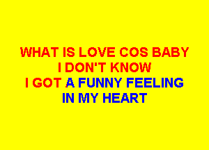 WHAT IS LOVE COS BABY
I DON'T KNOW
I GOT A FUNNY FEELING
IN MY HEART