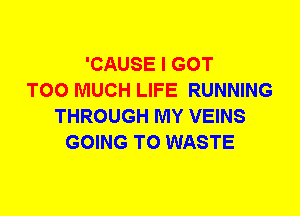 'CAUSE I GOT
TOO MUCH LIFE RUNNING
THROUGH MY VEINS
GOING TO WASTE