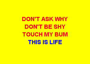 DON'T ASK WHY
DON'T BE SHY
TOUCH MY BUM
THIS IS LIFE