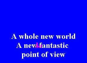 A Whole new world
A new fantastic
point of view