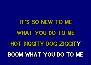 IT'S 30 NEW TO ME

WHAT YOU DO TO ME
HOT DIGGITY DOG ZIGGITY
BOOM WHAT YOU DO TO ME