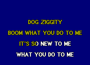 DOG ZIGGITY

BOOM WHAT YOU DO TO ME
IT'S 30 NEW TO ME
WHAT YOU DO TO ME
