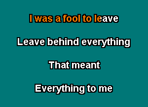 I was a fool to leave
Leave behind everything

That meant

Everything to me