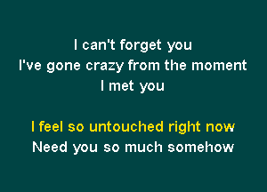 I can't forget you
I've gone crazy from the moment
I met you

lfeel so untouched right now
Need you so much somehow
