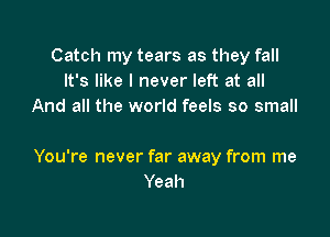 Catch my tears as they fall
It's like I never left at all
And all the world feels so small

You're never far away from me
Yeah