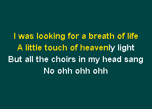 I was looking for a breath of life
A little touch of heavenly light

But all the choirs in my head sang
No ohh ohh ohh