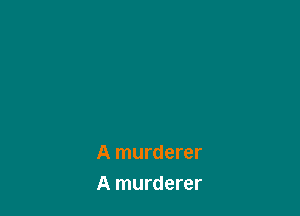 A murderer
A murderer
