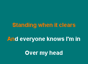 Standing when it clears

And everyone knows I'm in

Over my head