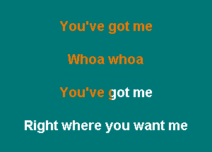 You've got me
Whoa whoa

You've got me

Right where you want me