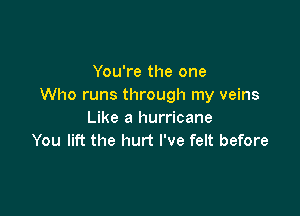 You're the one
Who runs through my veins

Like a hurricane
You lift the hurt I've felt before