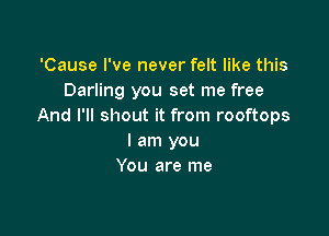 'Cause I've never felt like this
Darling you set me free
And I'll shout it from rooftops

I am you
You are me