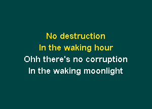 No destruction
In the waking hour

Ohh there's no corruption
In the waking moonlight