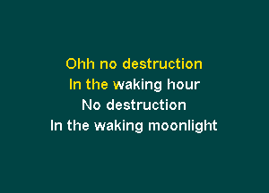 Ohh no destruction
In the waking hour

No destruction
In the waking moonlight